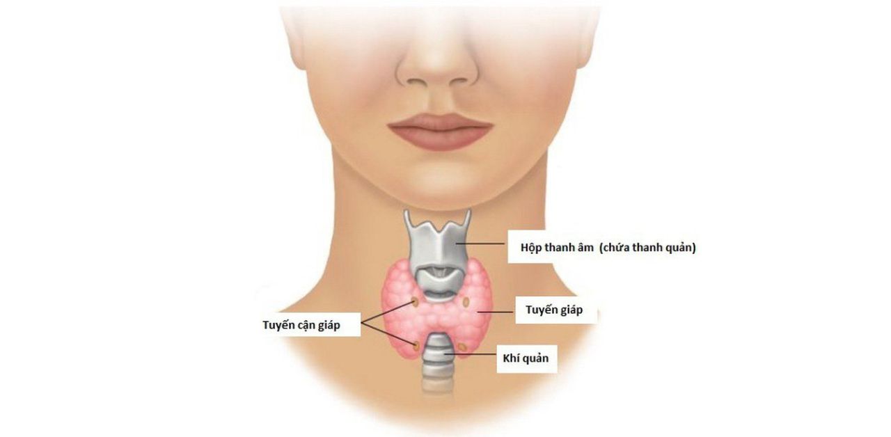 Cắt 2 thùy tuyến giáp có gây nguy hiểm đến sức khỏe không?