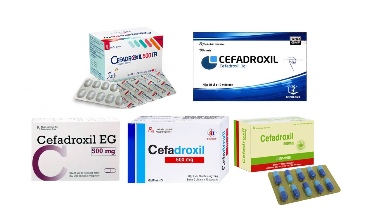 Cefadroxil – Thuốc kháng sinh điều trị nhiễm trùng do vi khuẩn