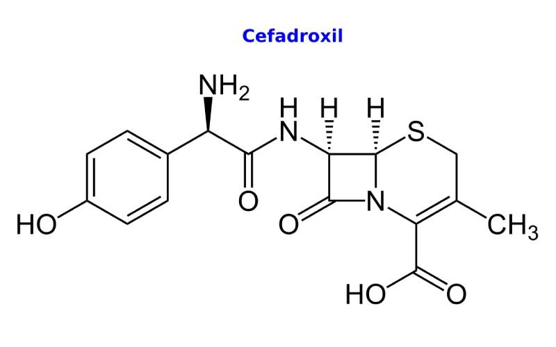 Cefadroxil – Thuốc kháng sinh điều trị nhiễm trùng do vi khuẩn