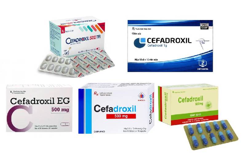 Cefadroxil – Thuốc kháng sinh điều trị nhiễm trùng do vi khuẩn