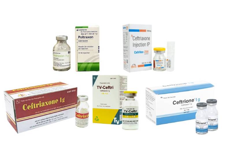 Ceftriaxone: Kháng sinh cephalosporin thế hệ 3 trị nhiễm khuẩn