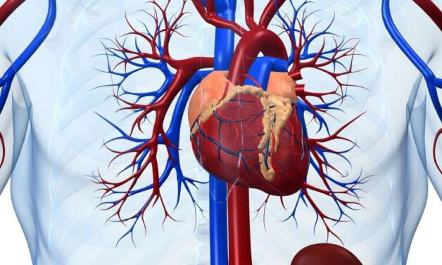 Chăm sóc trẻ bị viêm đường hô hấp trên: Những lưu ý quan trọng