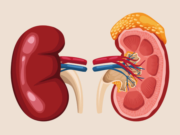 Chẩn đoán viêm gan rượu bằng cách nào