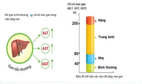 Chỉ số GGT bao nhiêu là nguy hiểm? Khi nào cần xét nghiệm