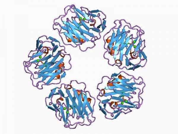 Chỉ số xét nghiệm Protein phản ứng C (CRP) nói lên điều gì?