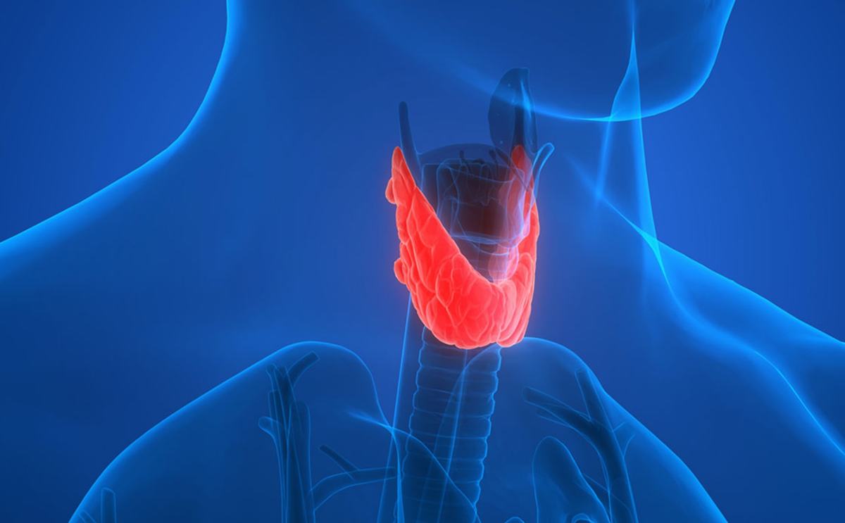 Chức năng tuyến giáp là gì? Ý nghĩa xét nghiệm chức năng