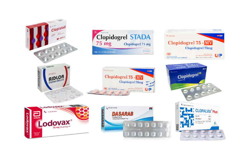 Clopidogrel – Chống kết tập tiểu cầu, trị – dự phòng bệnh tim mạch