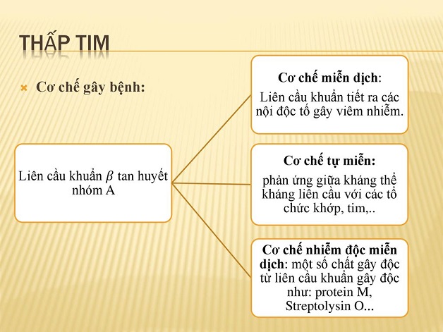 Cơ chế bệnh thấp tim và cách điều trị bệnh 