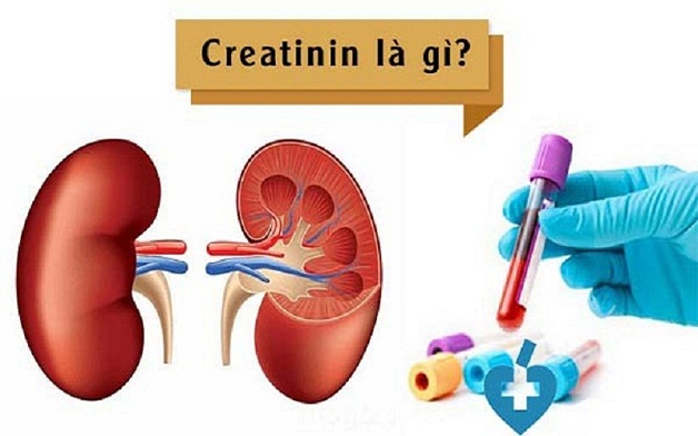 Đánh giá suy thận qua creatinin trong cơ thể