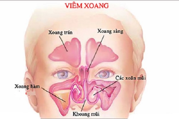 Đau đầu thái dương: nguyên nhân và cách điều trị