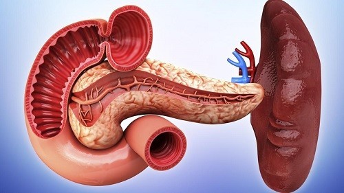 Dấu hiệu lá lách có vấn đề bệnh lý tiềm ẩn nào đó