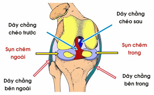 Dấu hiệu rách sụn chêm đầu gối là gì?