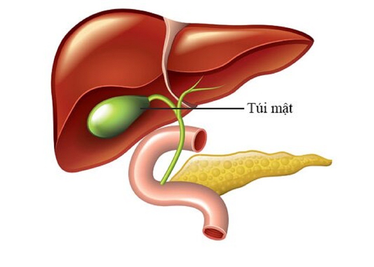 Dịch mật trào ngược – Nguyên nhân và cách điều trị