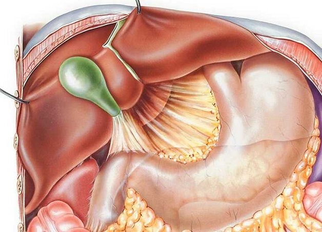 Dịch mật trào ngược – Nguyên nhân và cách điều trị