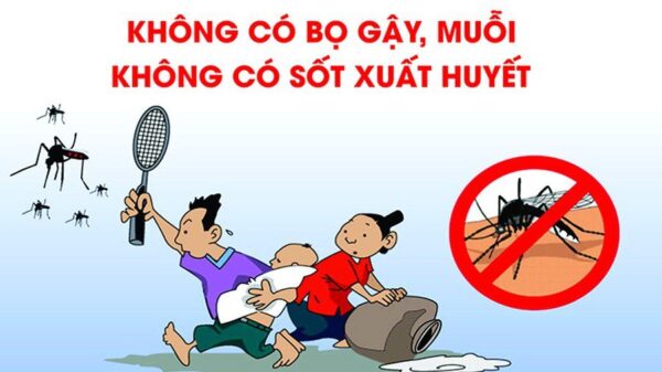 Dịch sốt xuất huyết hiện nay: Số ca mắc tăng nhanh đột ngột