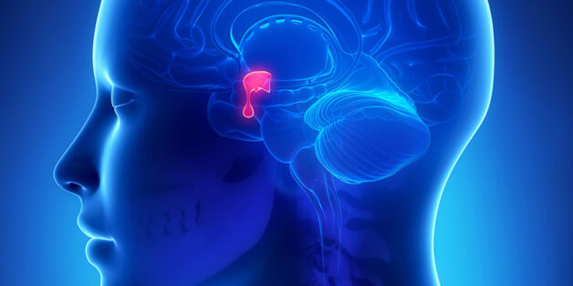 Điều gì xảy ra nếu tuyến yên sản sinh ra quá ít hormone?