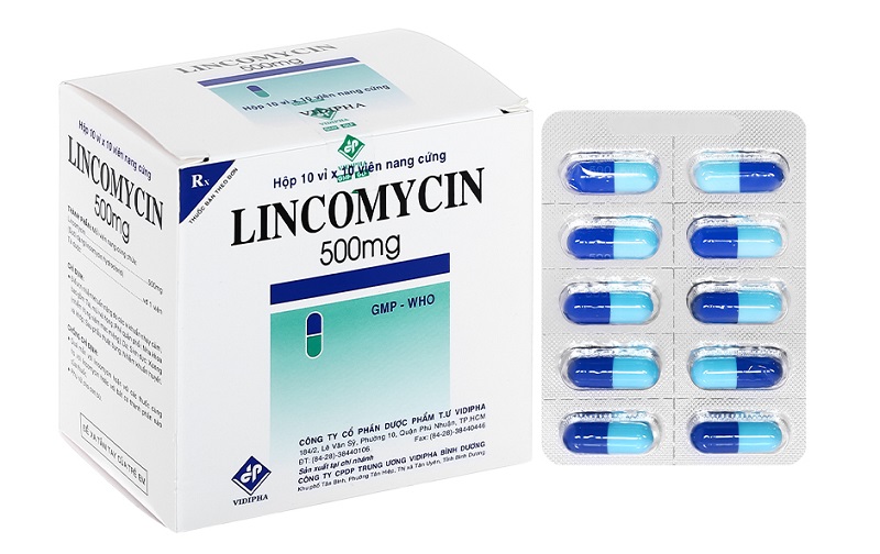 Điều trị nhiễm khuẩn bằng Lincomycin: Những lưu ý quan trọng