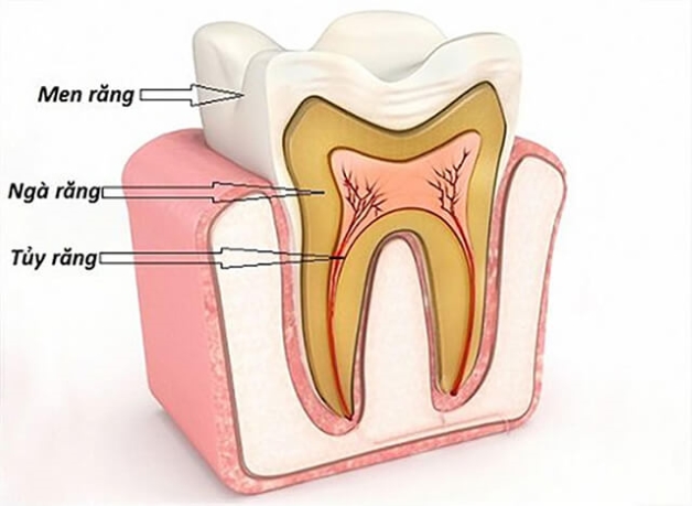 Điều trị tủy răng giá bao nhiêu tiền và quy trình thực hiện