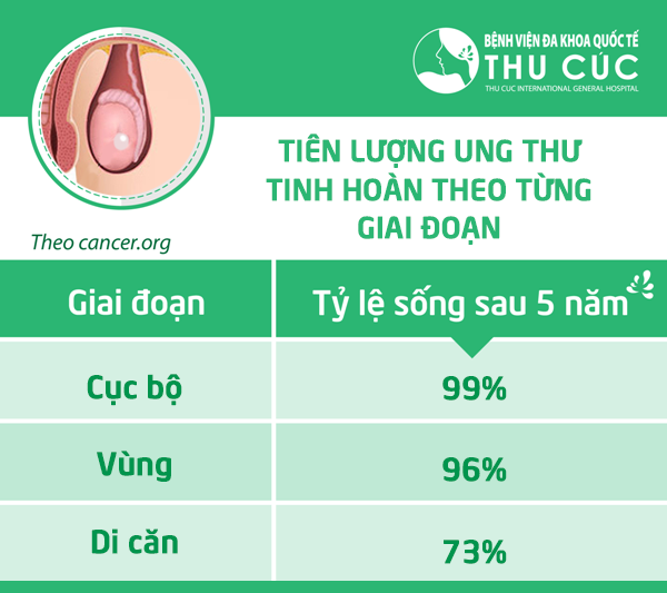 Điều trị ung thư tinh hoàn