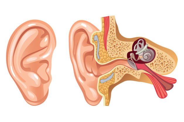 Điều trị viêm tai giữa ở trẻ em: Thông tin cơ bản