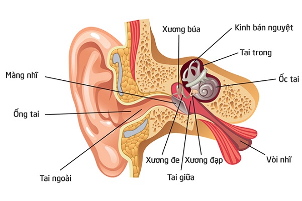 Điều trị viêm tai giữa thanh dịch ở trẻ nhỏ không khó