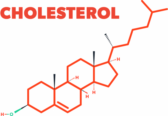 Định lượng cholesterol toàn phần cao cảnh báo điều gì?