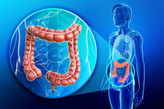 Độ tuổi nào nên thực hiện tầm soát ung thư trực tràng?