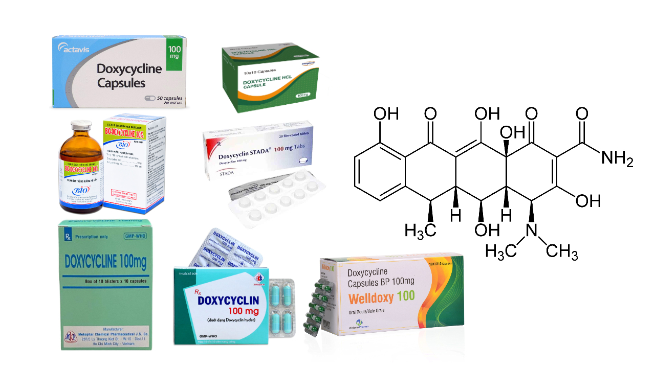 Doxycycline: Kháng sinh phổ rộng và lưu ý sử dụng