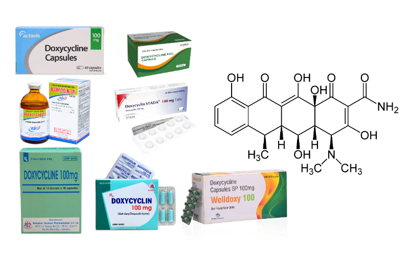 Doxycycline: Kháng sinh phổ rộng và lưu ý sử dụng