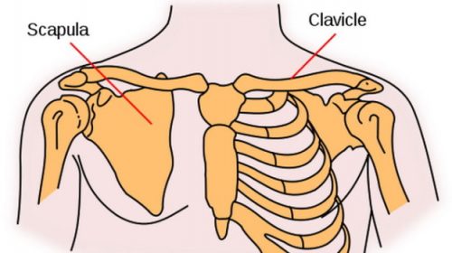 Gãy xương đòn điều trị bằng cách nào?