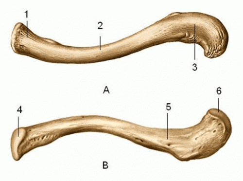 Gãy Xương Đòn Vai: Triệu chứng, nguyên nhân & Cách điều trị