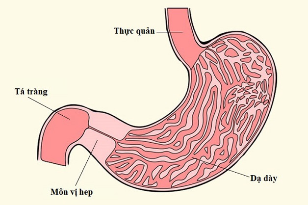 Giải đáp bệnh loét bao tử có nguy hiểm không?