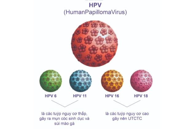 Giải đáp: Tại sao phải xét nghiệm tầm soát HPV ?