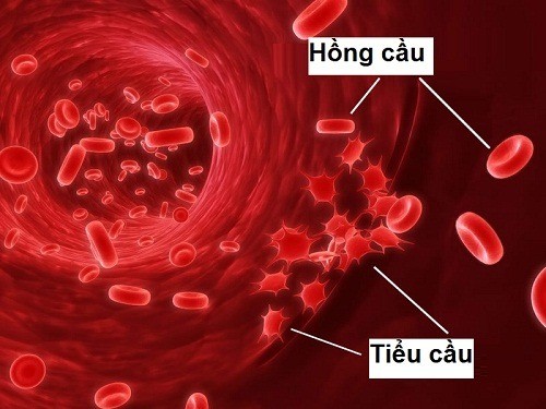 Giảm tiểu cầu nguyên nhân do đâu?tình trạng xuất huyết nhẹ