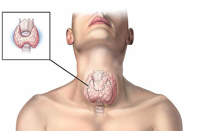 Hạch sau tai “báo hiệu” điều gì về sức khỏe bạn?