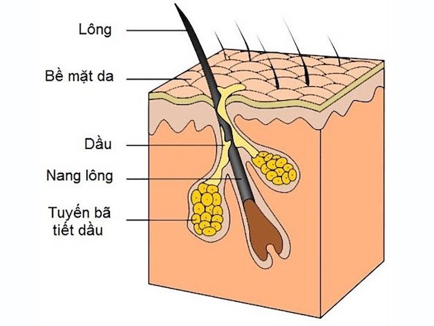 Hạch sau tai “báo hiệu” điều gì về sức khỏe bạn?