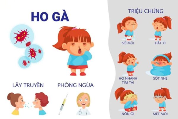 Ho gà ở trẻ em: bệnh dễ lây nhiễm thành dịch