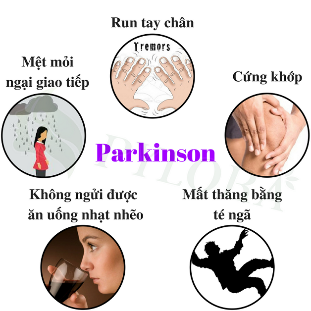 Hội chứng Parkinson – Nguyên nhân và triệu chứng