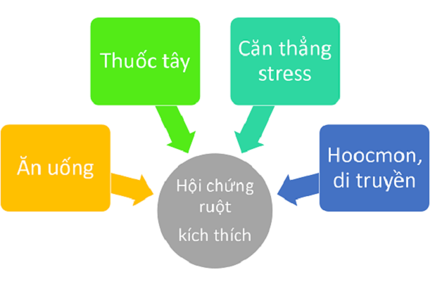 Hội chứng ruột kích thích và những điều bạn cần phải biết