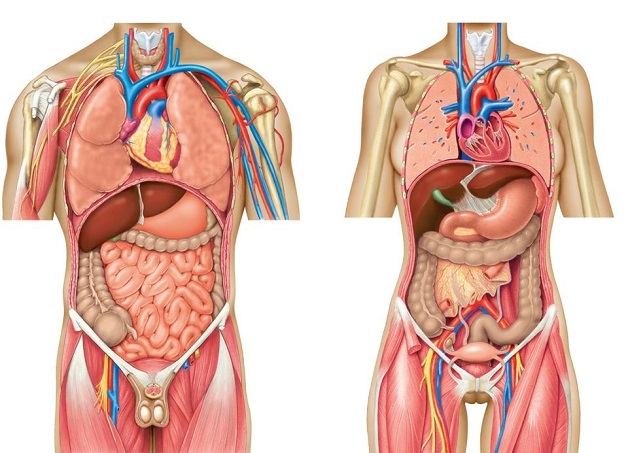 Hội đàm đa khoa về triệu chứng đau bụng