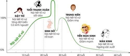 Hoóc-môn nữ estrogen là gì? tìm hiểu ở thông tin