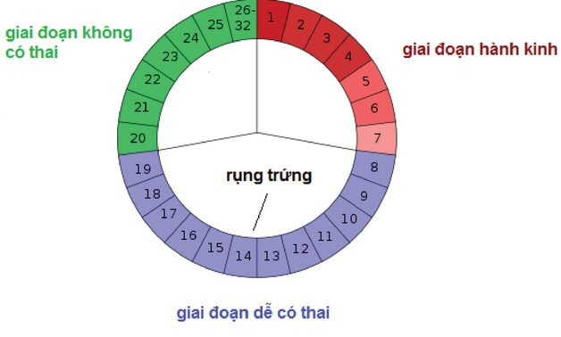 Hướng dẫn cách tính chu kỳ kinh nguyệt để có thai