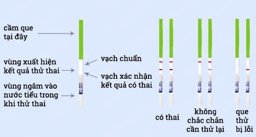 Hướng dẫn chi tiết đọc kết quả que thử thai chính xác 97%