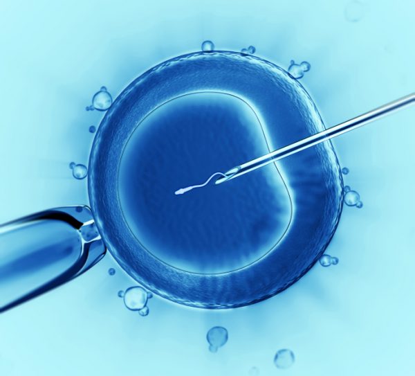 IVF có làm tăng nguy cơ bị ung thư buồng trứng không?