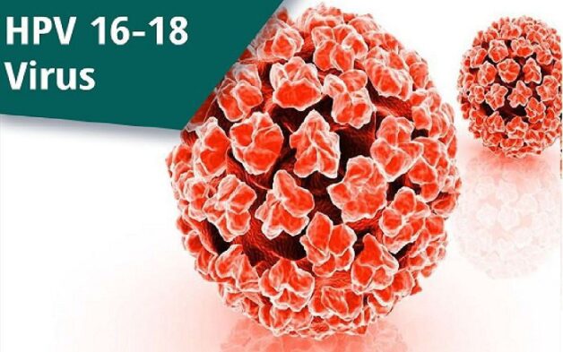 Khái quát chung về hpv ung thư cổ tử cung