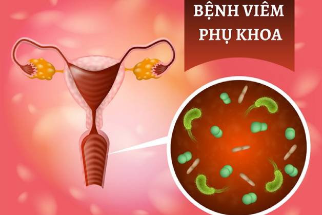 Khám bệnh phụ khoa như thế nào và khi nào nên khám