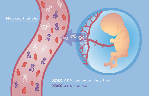 Khám dị tật thai nhi định kì và những lưu ý quan trọng