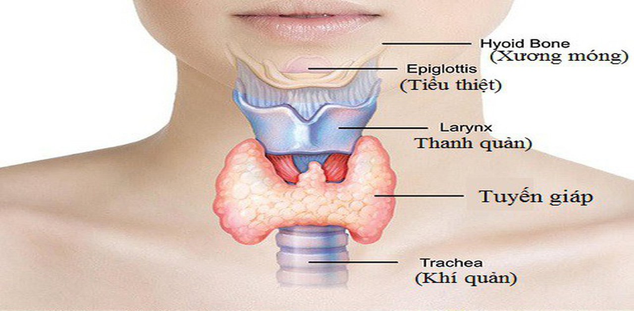 Khám tuyến giáp gồm những bước nào?