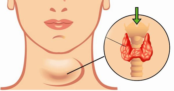 Kiểm tra chức năng tuyến giáp