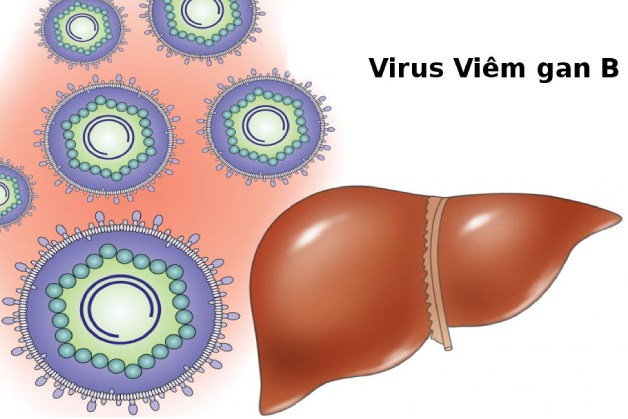 Liệu trình tiêm vắc xin viêm gan B đối với trẻ em và người lớn